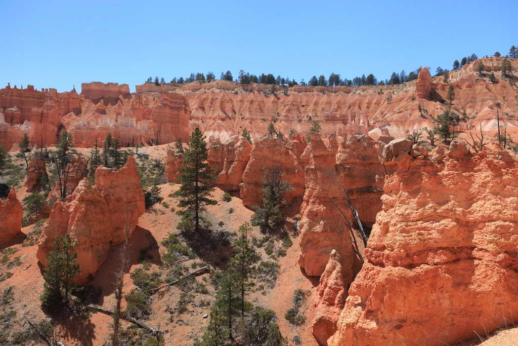 Bryce Canyon NP